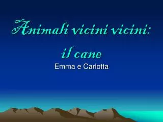 animali vicini vicini il cane