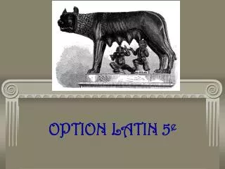 option latin 5 e