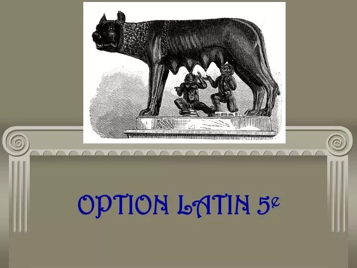 option latin 5 e
