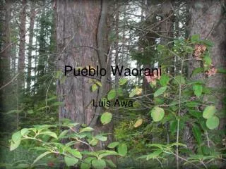 pueblo waorani