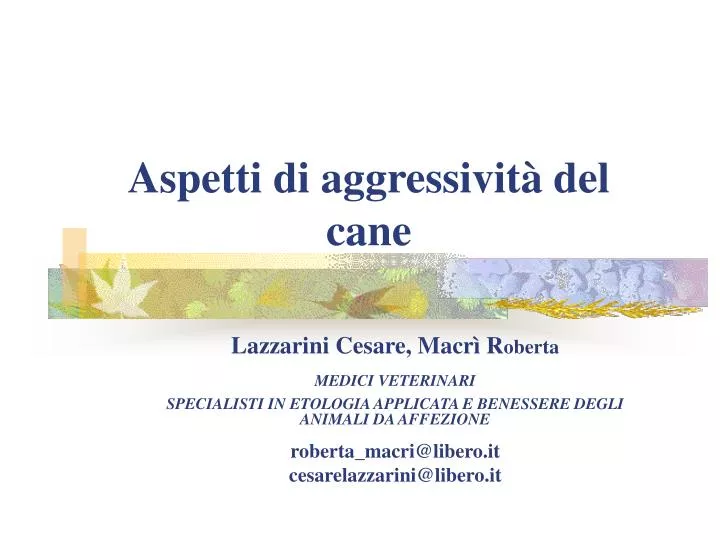 aspetti di aggressivit del cane