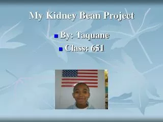 My Kidney Bean Project