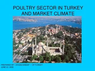 POULTRY SECTOR IN TURKEY AND MARKET CLIMATE