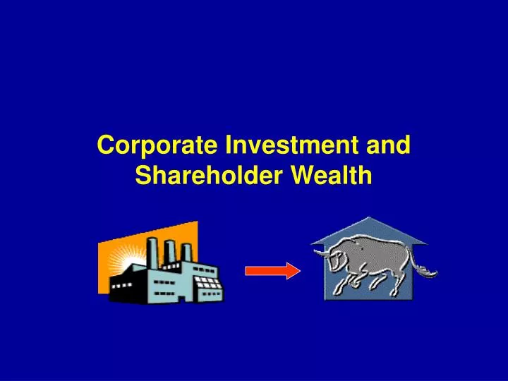 corporate investment and shareholder wealth