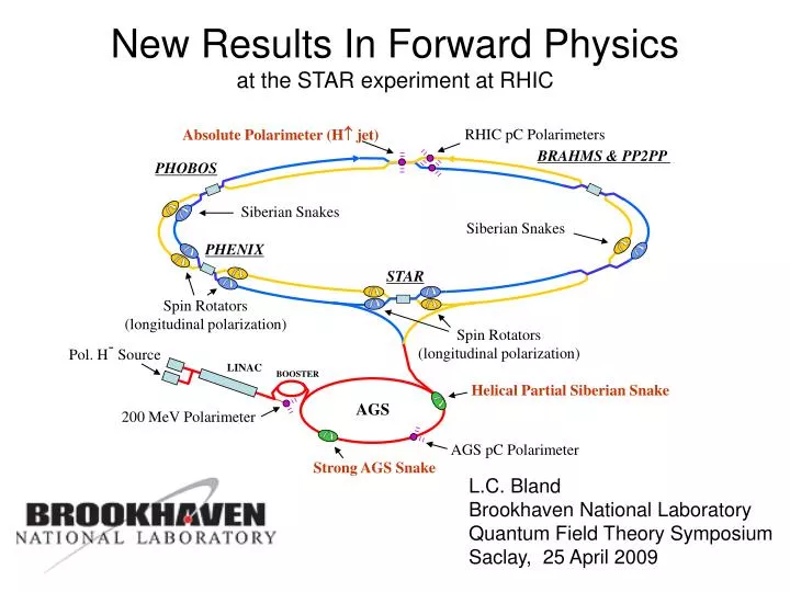 new results in forward physics at the star experiment at rhic