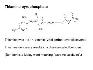 Thiamine was the 1 st vitamin ( vit al amin e) ever discovered.