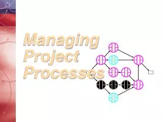 Managing Project Processes
