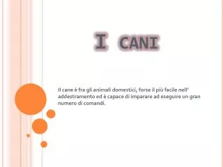 i cani