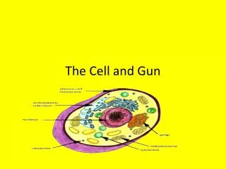 The Cell and Gun