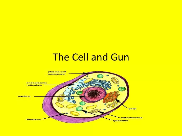 the cell and gun