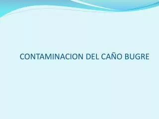 contaminacion del ca o bugre