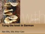 The Evolution of Tree Climbing in Germany: Skills, Techniques, and Innovations - slide 1