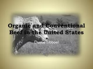 Organic and Conventional Beef in the United States