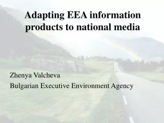 Adapting EEA information products to national media