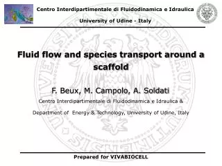 Fluid flow and species transport around a scaffold