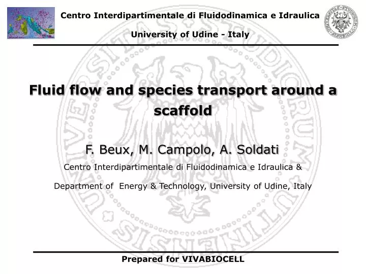 fluid flow and species transport around a scaffold