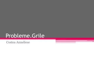 Probleme.Grile
