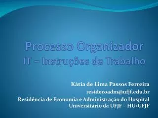 processo organizador it instru es de trabalho