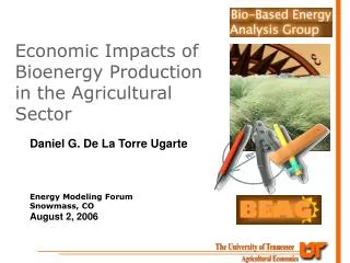 Economic Impacts of Bioenergy Production in the Agricultural Sector