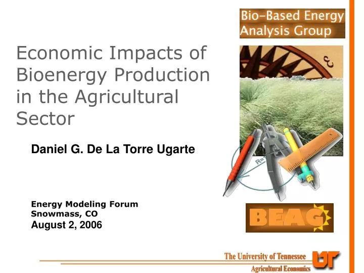 economic impacts of bioenergy production in the agricultural sector