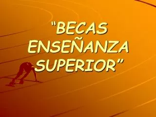 becas ense anza superior