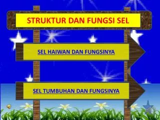 STRUKTUR DAN FUNGSI SEL