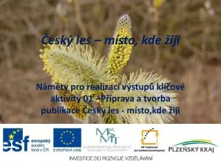 esk les m sto kde iji