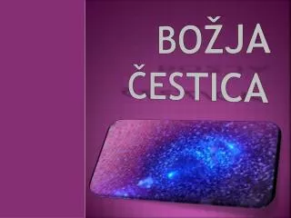 bo ja estica