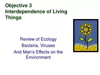 Objective 3 Interdependence of Living Things
