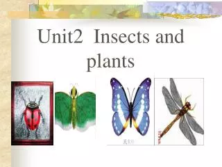 Unit2 Insects and plants