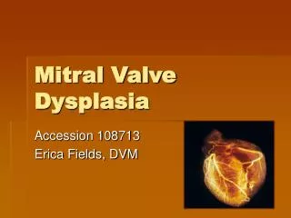 Mitral Valve Dysplasia