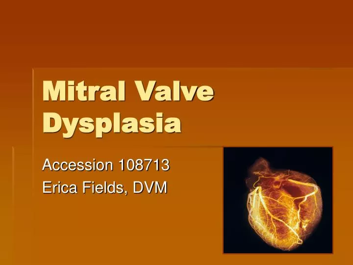mitral valve dysplasia