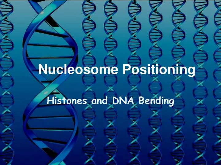 nucleosome positioning