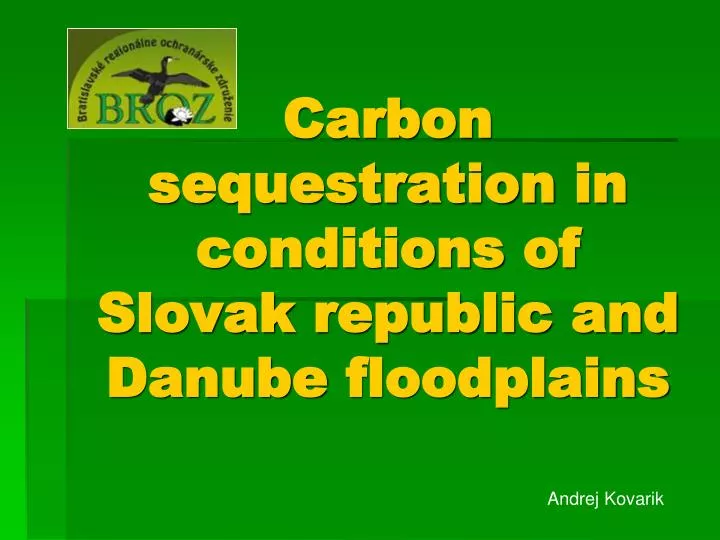 carbon sequestration in conditions of slovak republic and danube floodplains