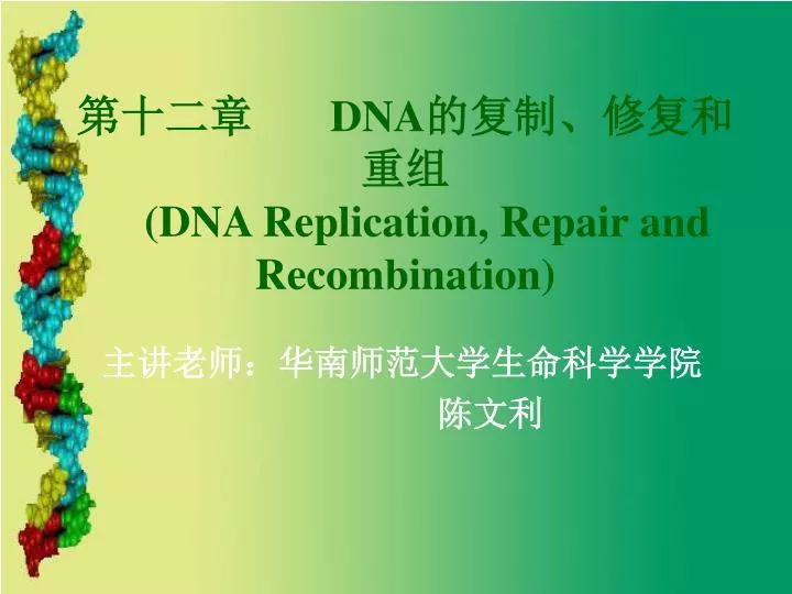 dna dna replication repair and recombination