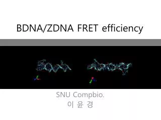BDNA/ZDNA FRET efficiency