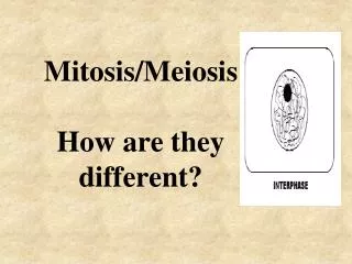 Mitosis/Meiosis How are they different?