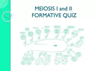 MEIOSIS I and II FORMATIVE QUIZ