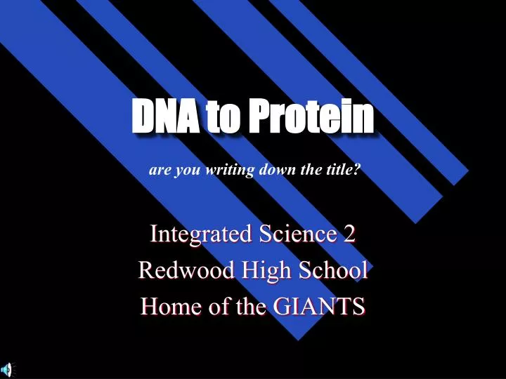 dna to protein