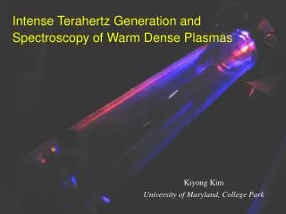 Intense Terahertz Generation and Spectroscopy of Warm Dense Plasmas