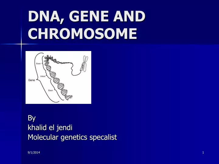 dna gene and chromosome