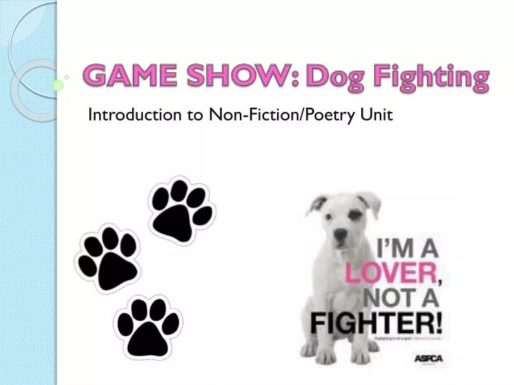 game show dog fighting