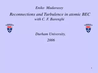 Eniko Madarassy Reconnections and Turbulence in atomic BEC with C. F. Barenghi