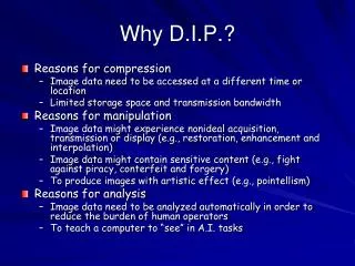 Why D.I.P.?
