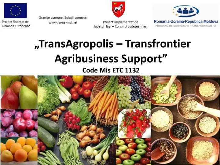 transagropolis transfrontier agribusiness support code mis etc 1132