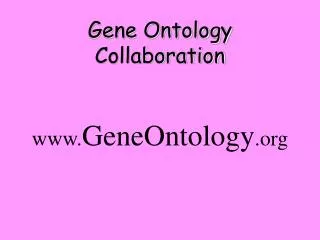 GeneOntology