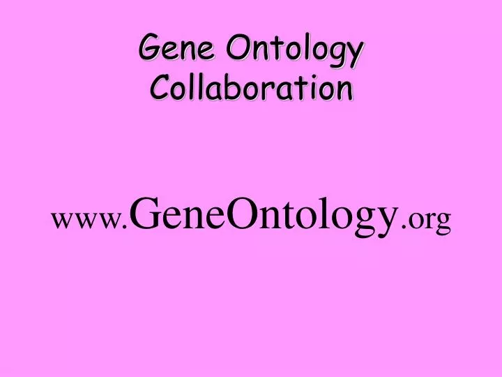 www geneontology org