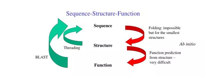 sequence structure function