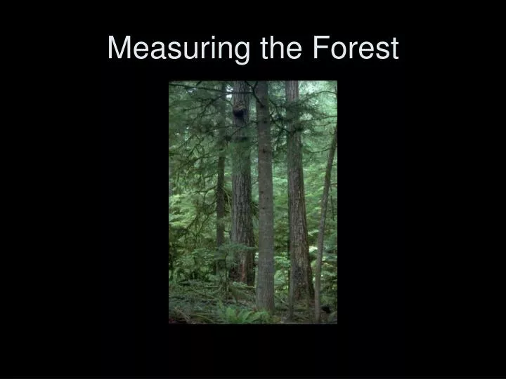measuring the forest