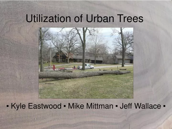 utilization of urban trees
